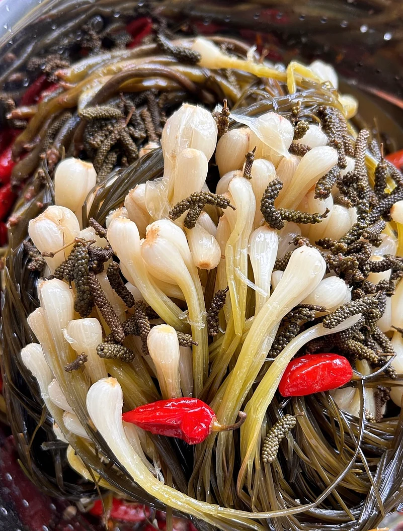 A batch of freshly picked mushrooms at A’origins
