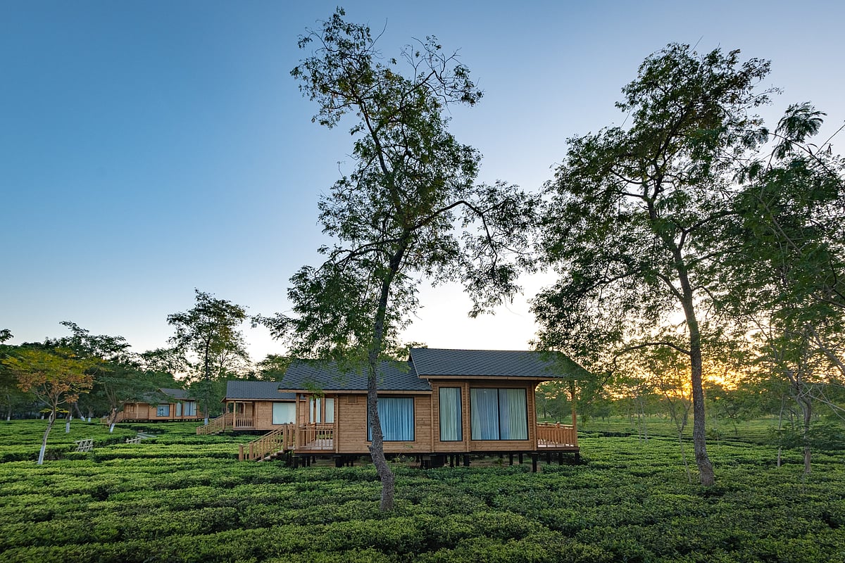 Luxury Chalets at The Postcard in The Durrung Tea Estate