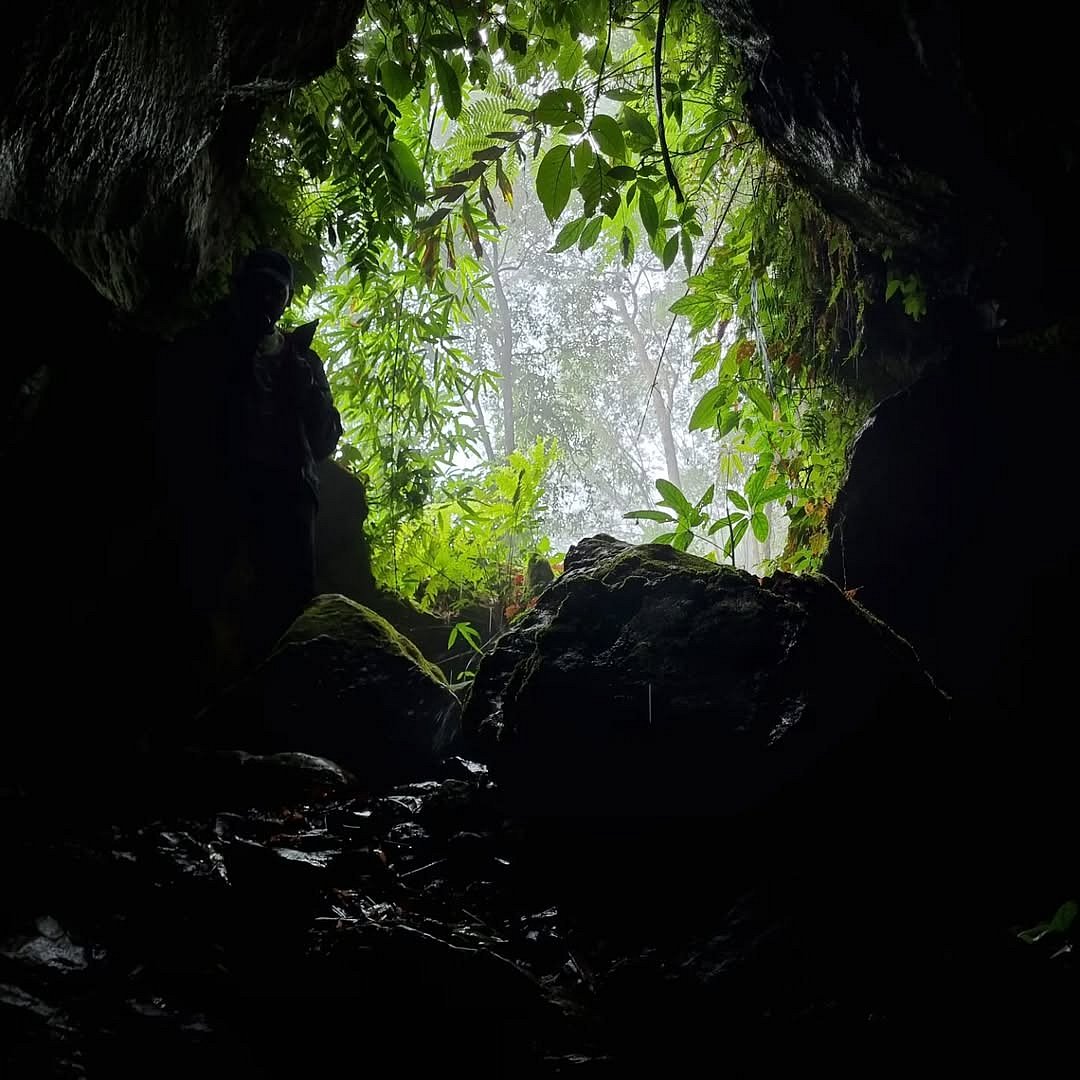 The entrance of the Krem Puri cave from the inside