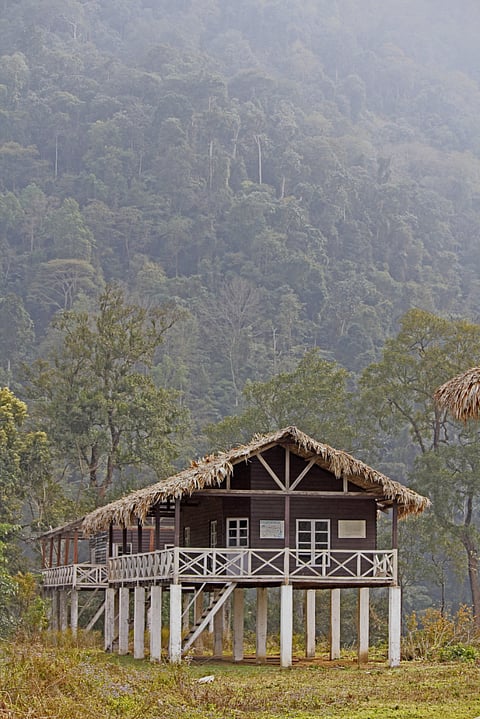 A rest house at the Namdapha National Park, Arunachal Pradesh
