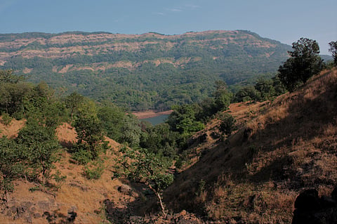 A view of Koyna, Maharashtra