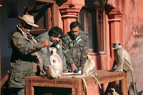 Fateh Singh Rathore (left) and Valmik Thapar (centre) with Semnopithecus monkeys