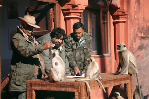 Fateh Singh Rathore (left) and Valmik Thapar (centre) with Semnopithecus monkeys