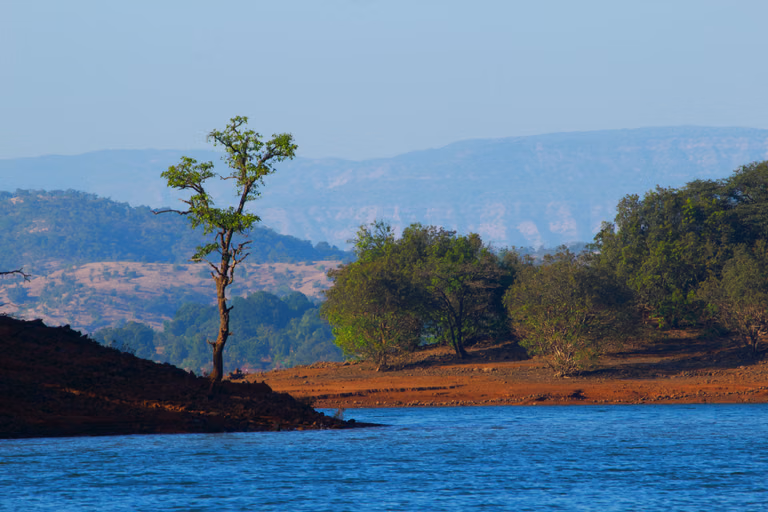 A view of the Koyna backwaters - Shutterstock