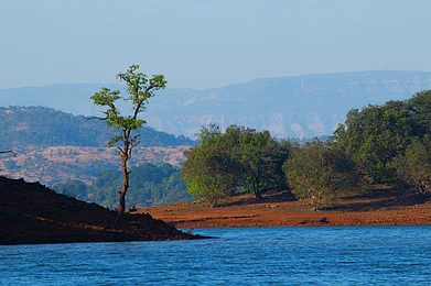 Shutterstock : A view of the Koyna backwaters