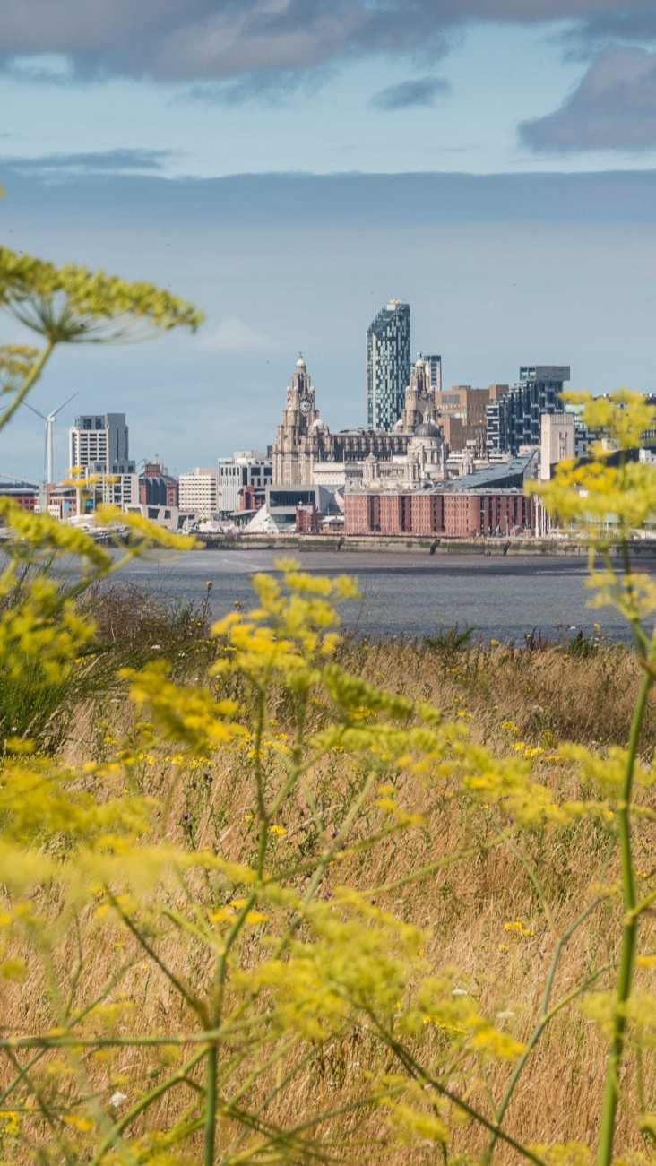 Views of the Mersey River from Port Sunlight River Park