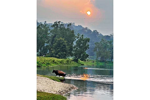 A winding river flowed through rolling meadows