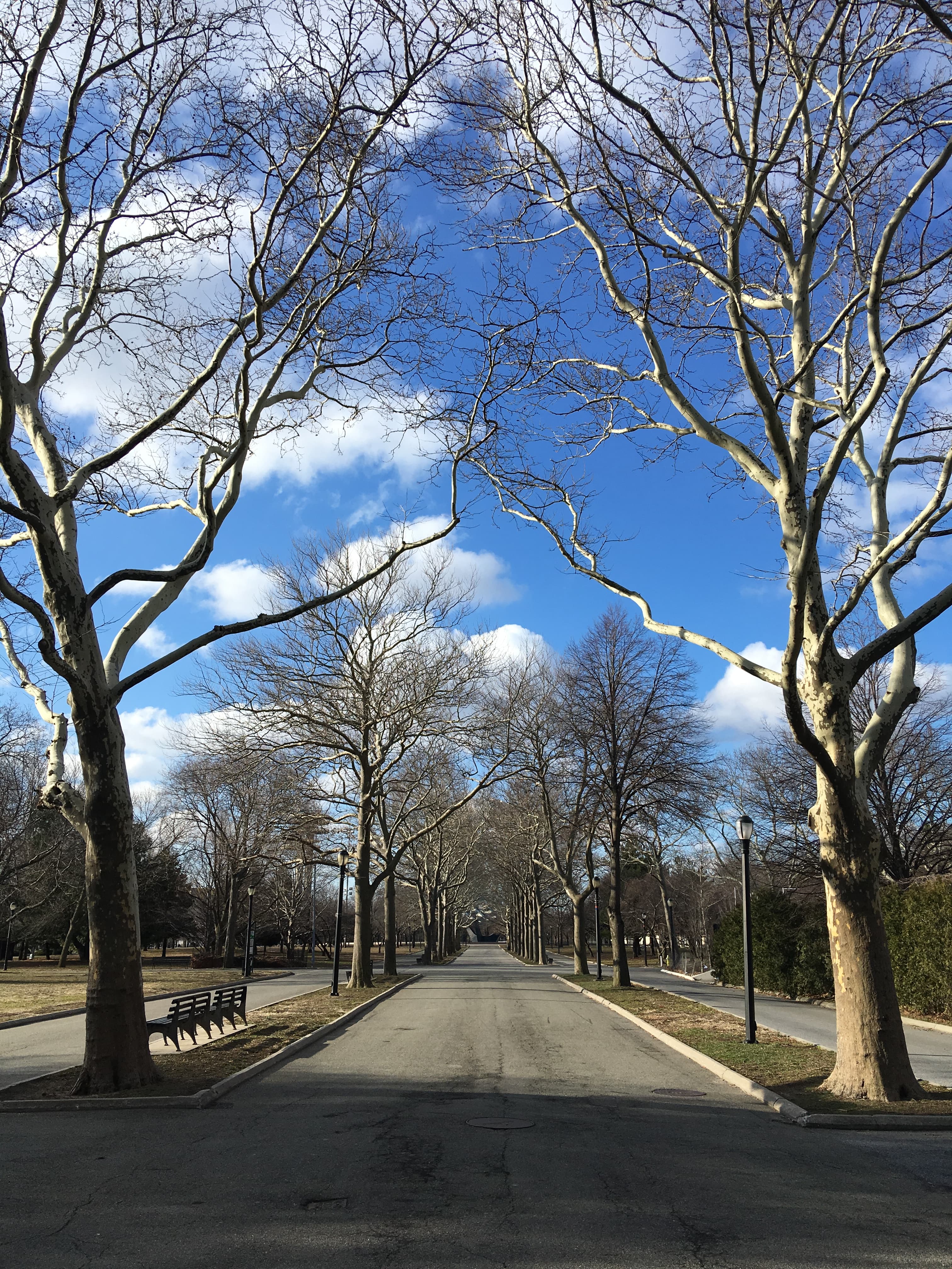 New York City's Flushing Meadows–Corona Park