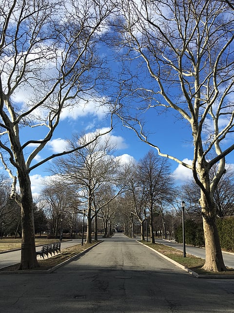 New York City's Flushing Meadows–Corona Park