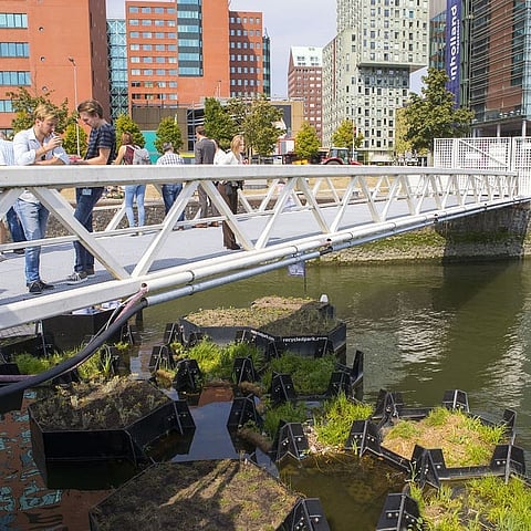 The Recycled Park of Rotterdam in the Netherlands