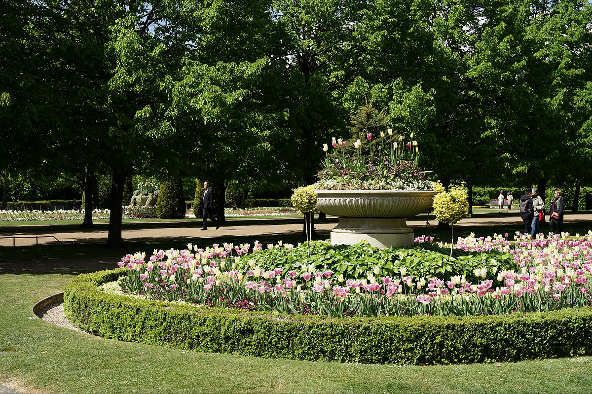 A look at Regents Park
