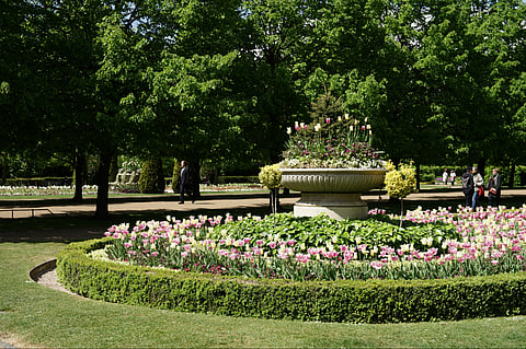 A look at Regent's Park