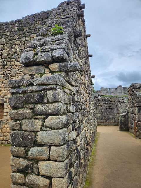 Incas created houses by interlocking blocks, making them earthquake-proof
