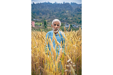 Jardhari helped farmers conserve 350 rice and 220 kidney bean varieties