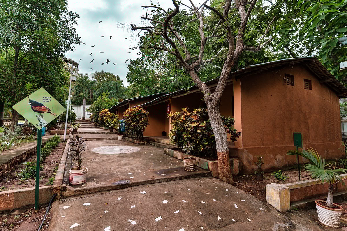 Unique hut houses at Bhat Eco Tourism