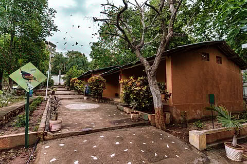 Unique hut houses at Bhat Eco Tourism