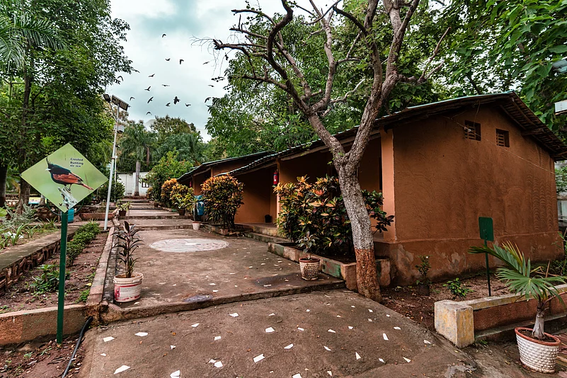 Unique hut houses at Bhat Eco Tourism