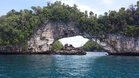 The Rock Islands of Palau are a collection of several hundred small limestone or coral uprises in the Southern Lagoon