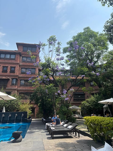 The poolside and courtyard were coloured with blooming blue jacarandas