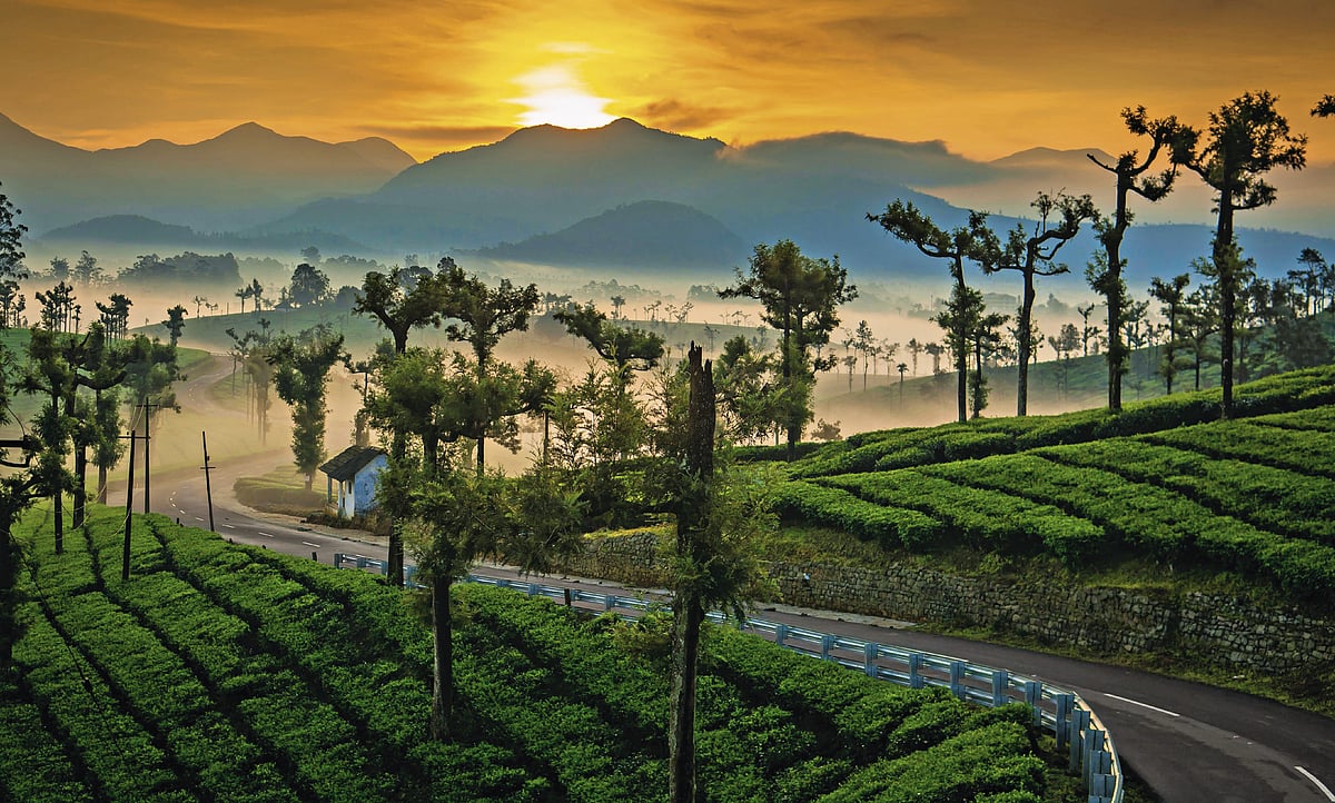 Scenic Road Trips In Tamil Nadu You Must Take