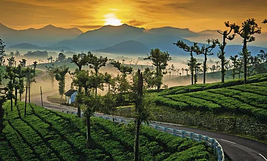 Valparai in Coimbatore
is a hill town that greets
travellers with sweeping
valley views