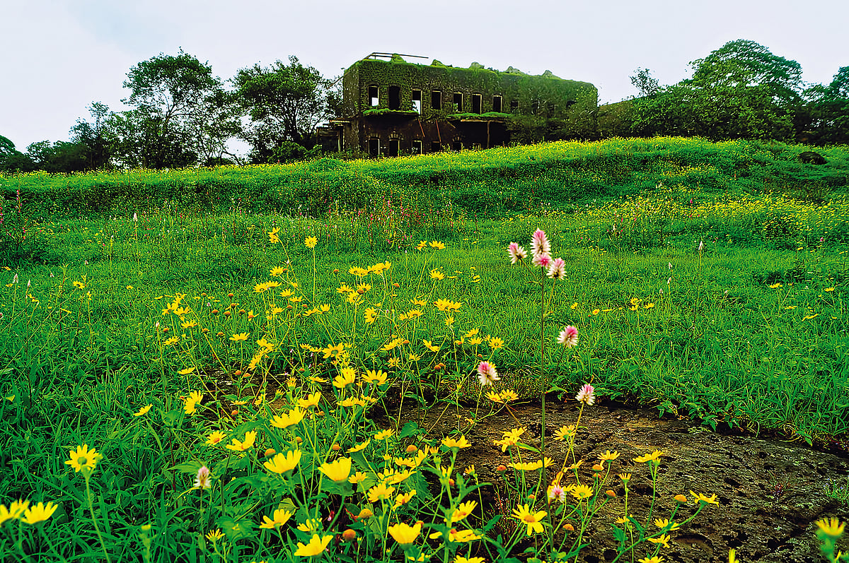 The monsoons amplify the beauty of the Dukes Nose trek