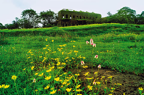 The monsoons amplify the beauty of the Duke's Nose trek