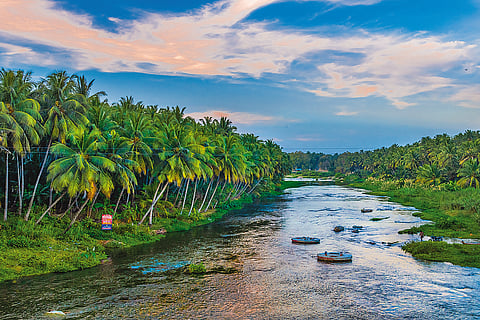 Pollachi is a beautiful town in Coimbatore