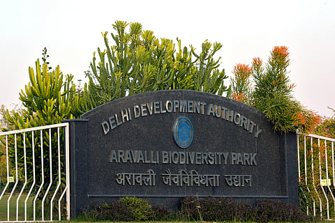 Nature parks and wildlife safaris will be an added bonus of the "Aravalli Green Wall Project"