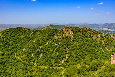 Amit kg/Shutterstock : The Aravalli Green Wall Project is a large-scale reforestation drive that aims to restore the 700-km Aravalli mountain range