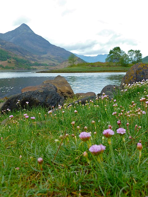 A view of Glen Coe
