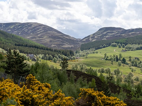 A view of Cairngorms National Park