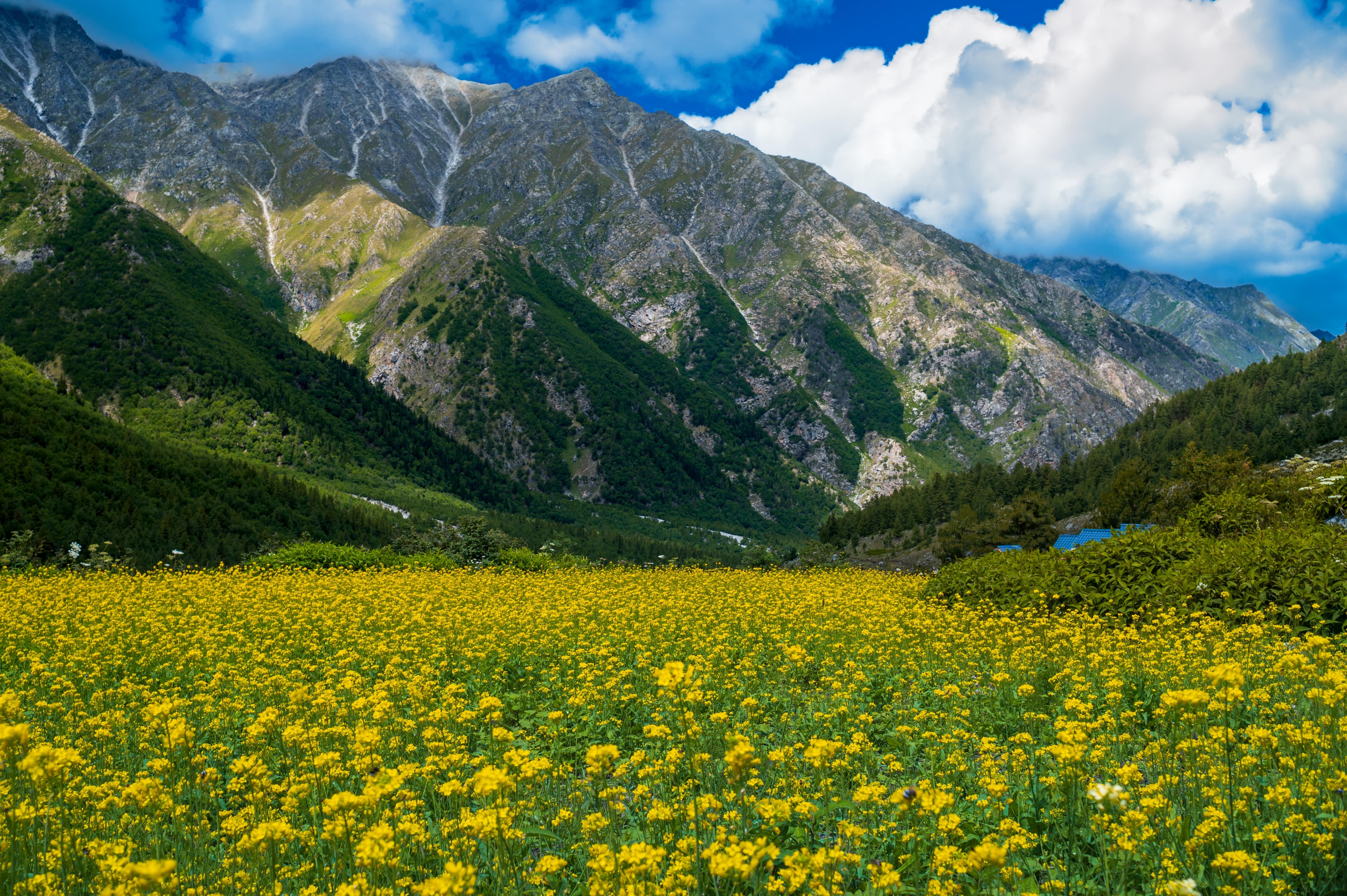 Chitkul, a village in the Kinnaur district, is the last village on the old Hindustan-Tibet trade route