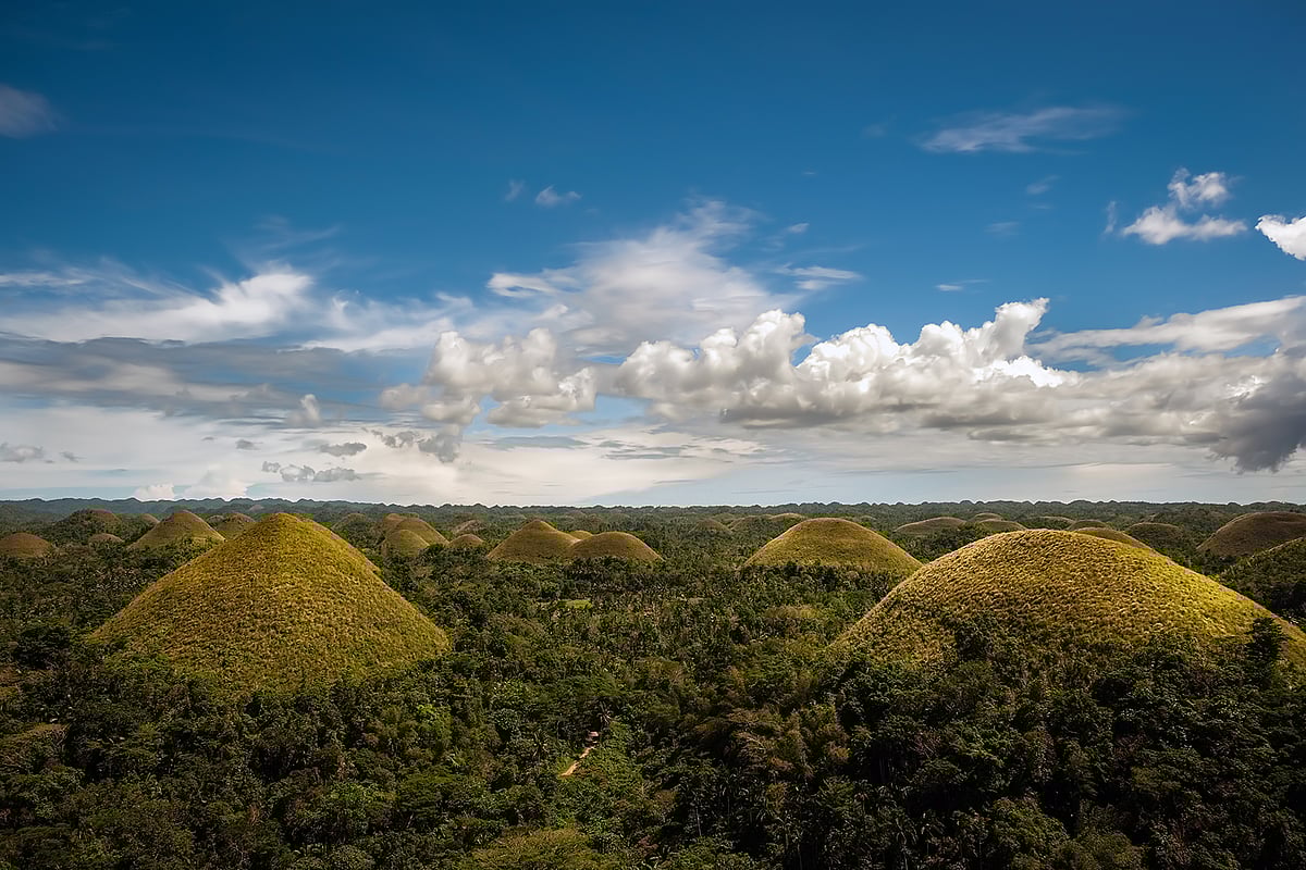 A view of the Chocolate Hills