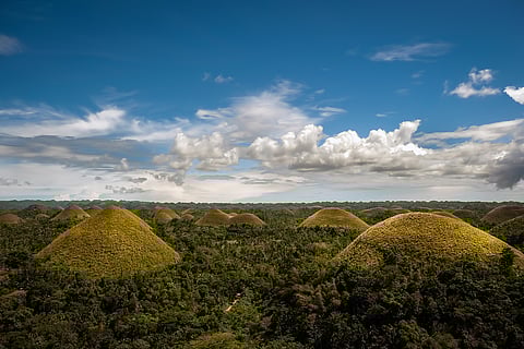 A view of the Chocolate Hills