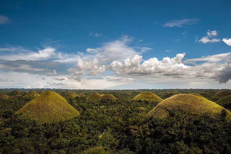 A view of the Chocolate Hills