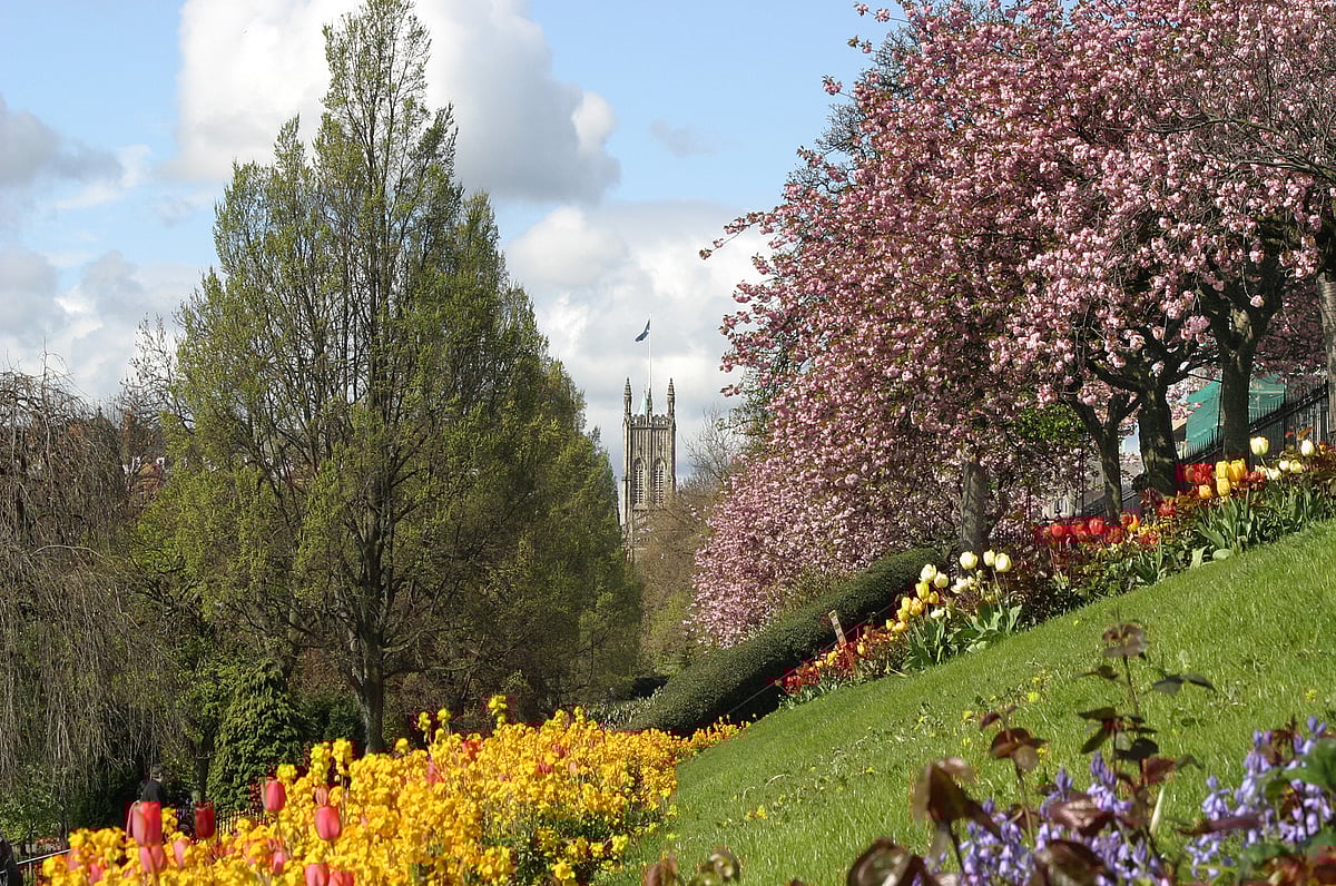 A view of Princes Street Gardens