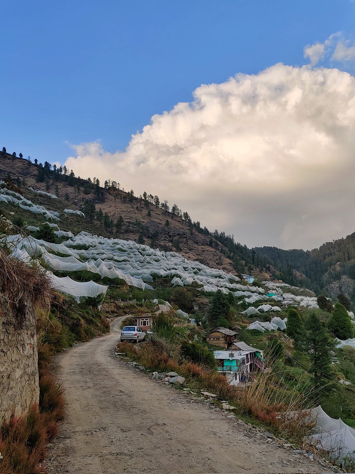 Apple valley of Balson, Theog