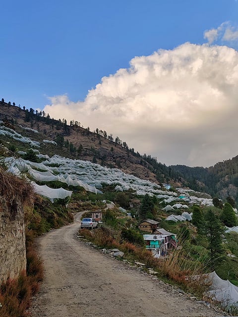 Apple valley of Balson, Theog