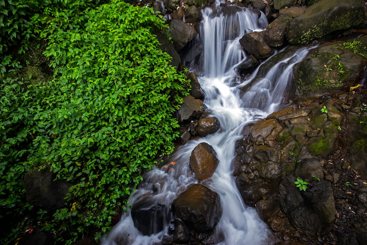 Amboli is surrounded by dense forests and known for its misty ambience