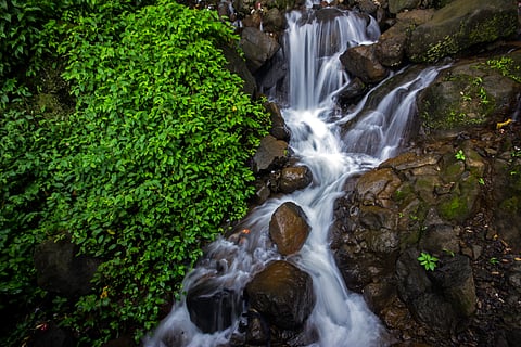 Amboli is surrounded by dense forests and known for its misty ambience