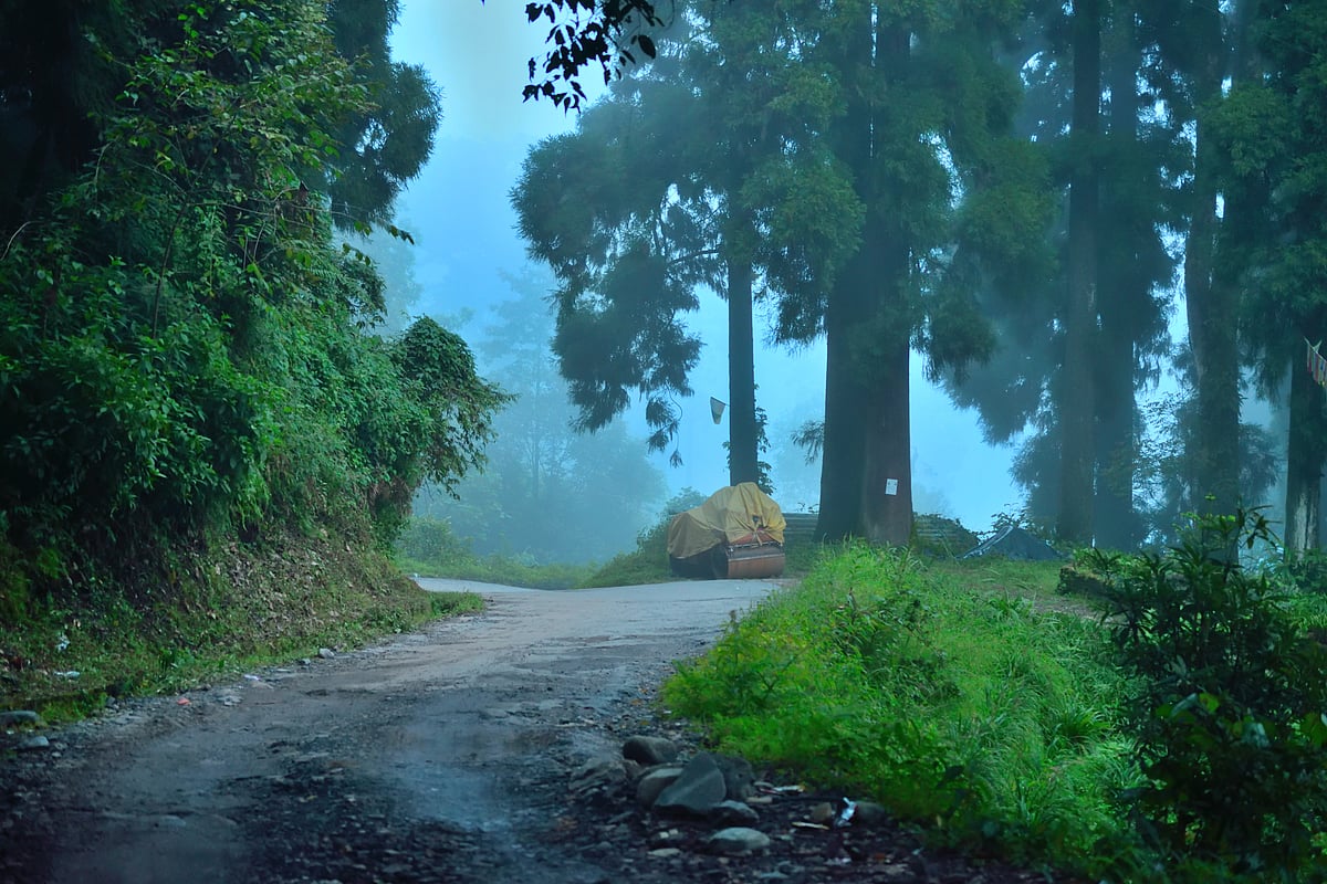 A misty road in Takdah
