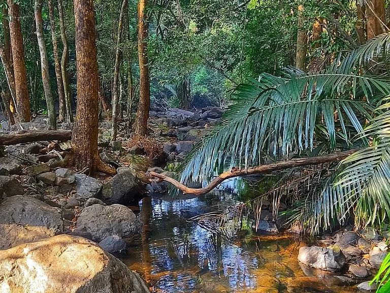 The view on the way to the Dudhsagar Falls of Mollem National Park - stikkas123/Instagram