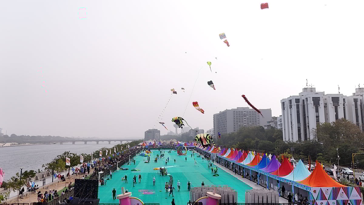 flying as the International Kite Festival is being celebrated on January 14. 