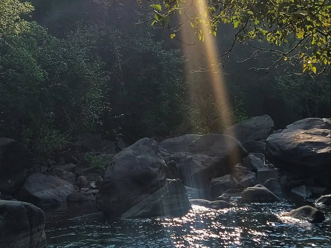 Sunlight falling on water in Mollem National Park