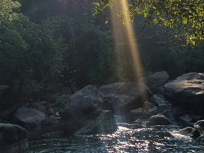 Sunlight falling on water in Mollem National Park