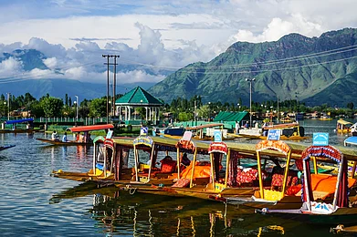 kimchivn/Shutterstock : Parked shikaras on Dal Lake in Srinagar