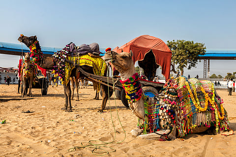 The Pushkar Fair takes place in October or November every year