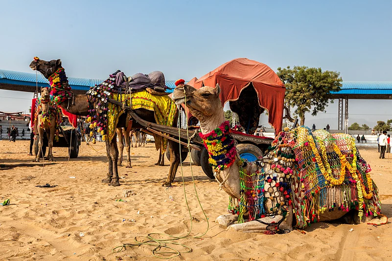 The Pushkar Fair takes place in October or November every year