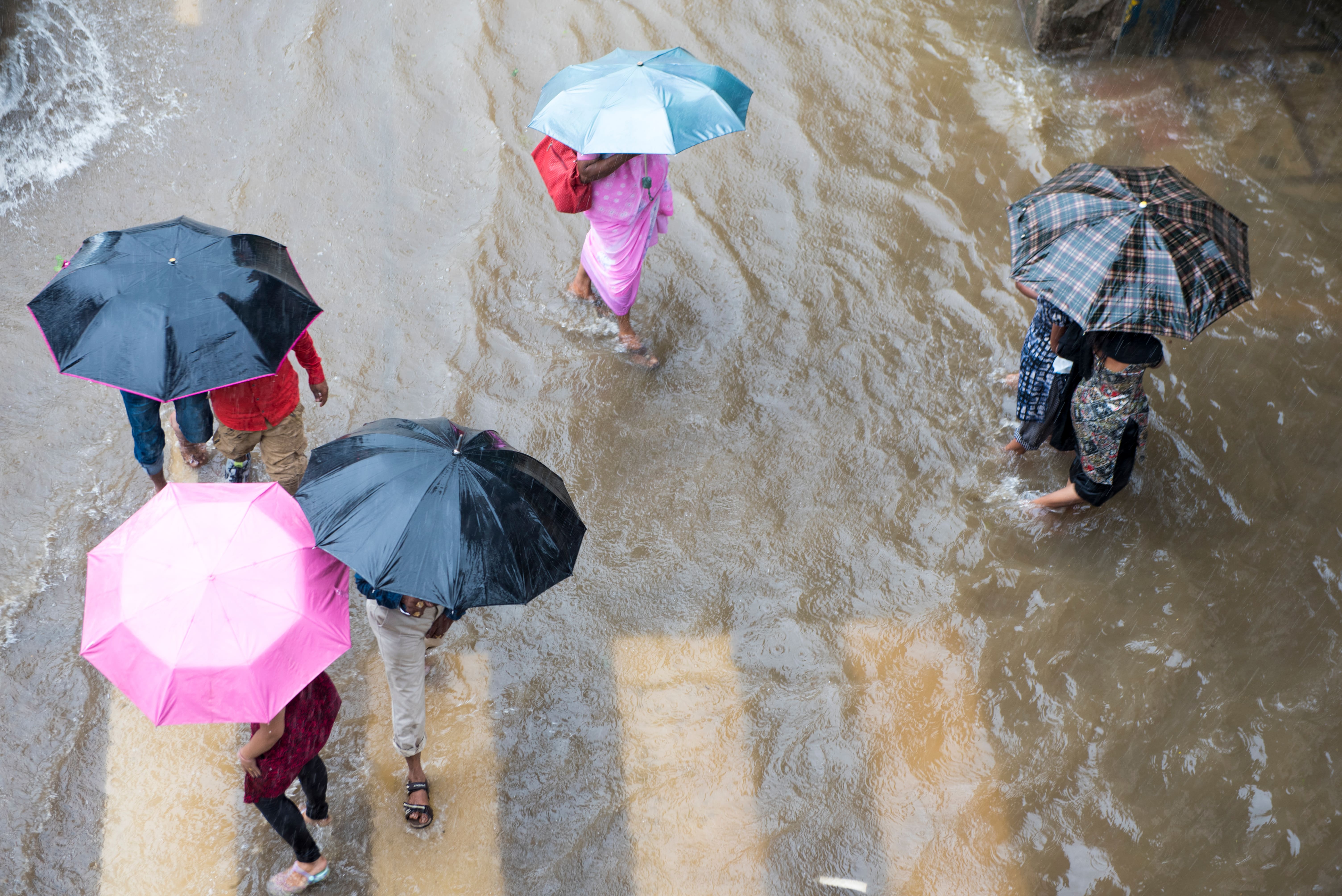 arun kumar mishra/Shutterstock : The IMD has issued weather warnings for Tamil Nadu today